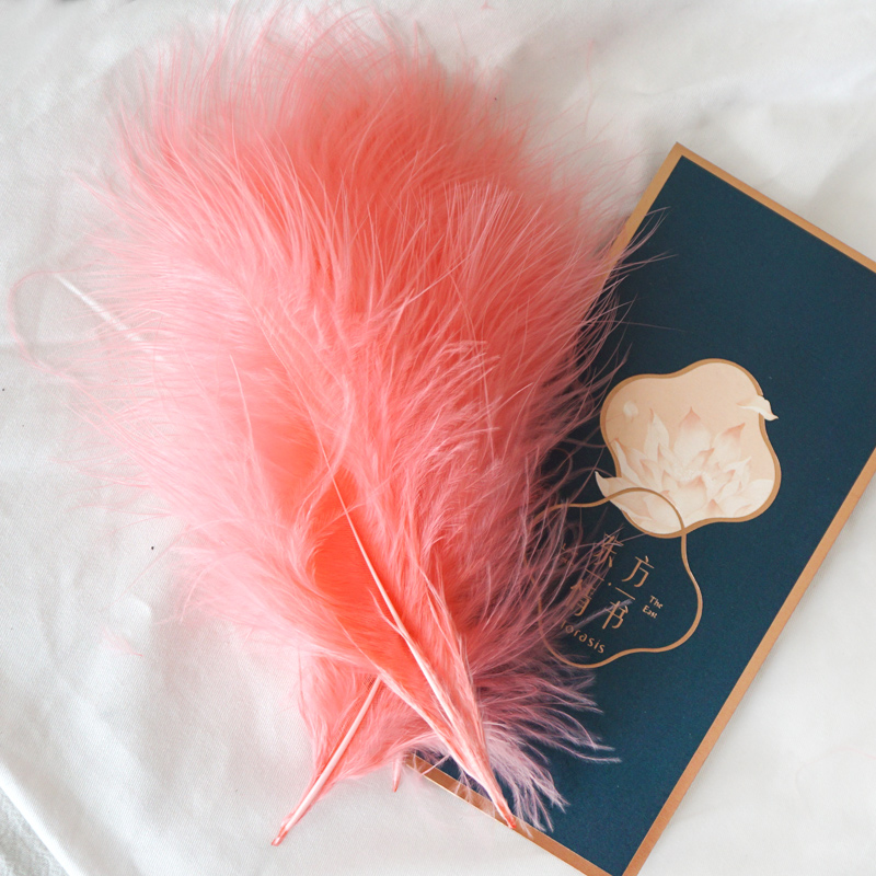 50Pcs Fluffy Turkey Marabou Fe - Feather Trim Marabou บทวิจารณ์และราคา