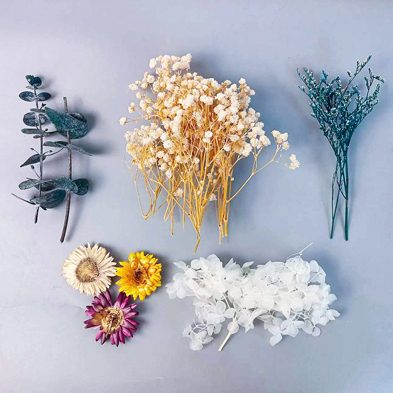 1pack Multifarious Dried Flowe - Craft Embellishments บทวิจารณ์และราคา