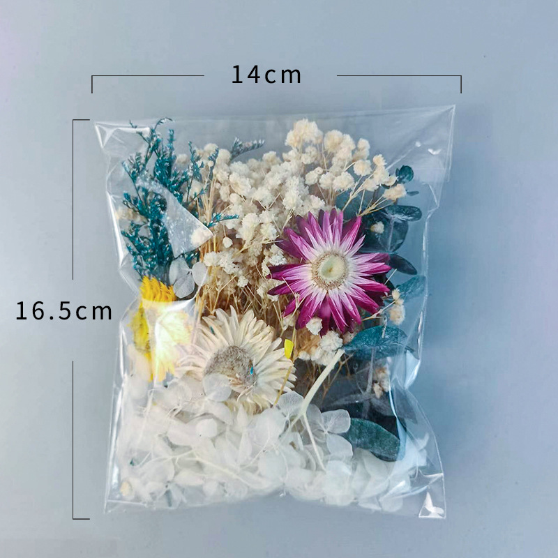 1pack Multifarious Dried Flowe - Craft Embellishments บทวิจารณ์และราคา