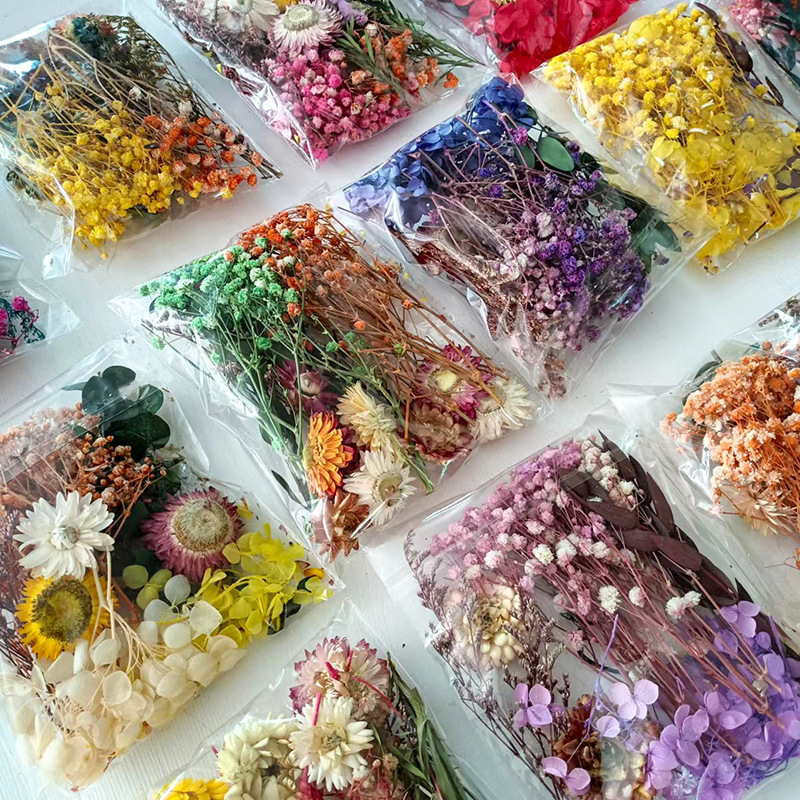 1pack Multifarious Dried Flowe - Craft Embellishments บทวิจารณ์และราคา