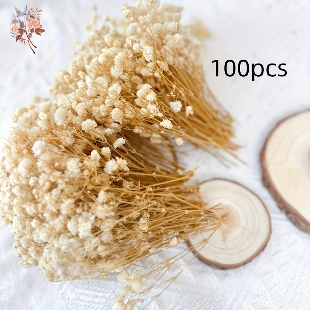 100pcs Mini Dried Baby's Breat - Craft Embellishments บทวิจารณ์และราคา