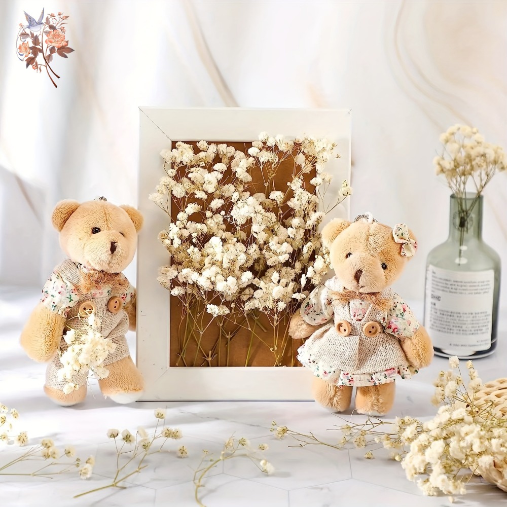 100pcs Mini Dried Baby's Breat - Craft Embellishments บทวิจารณ์และราคา