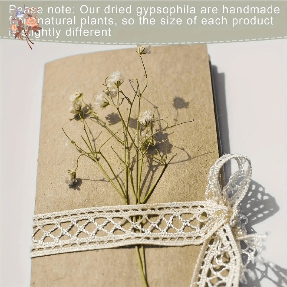 100pcs Mini Dried Baby's Breat - Craft Embellishments บทวิจารณ์และราคา